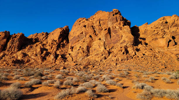 istock Outcropping in Valley of Fire State Park 1590893184