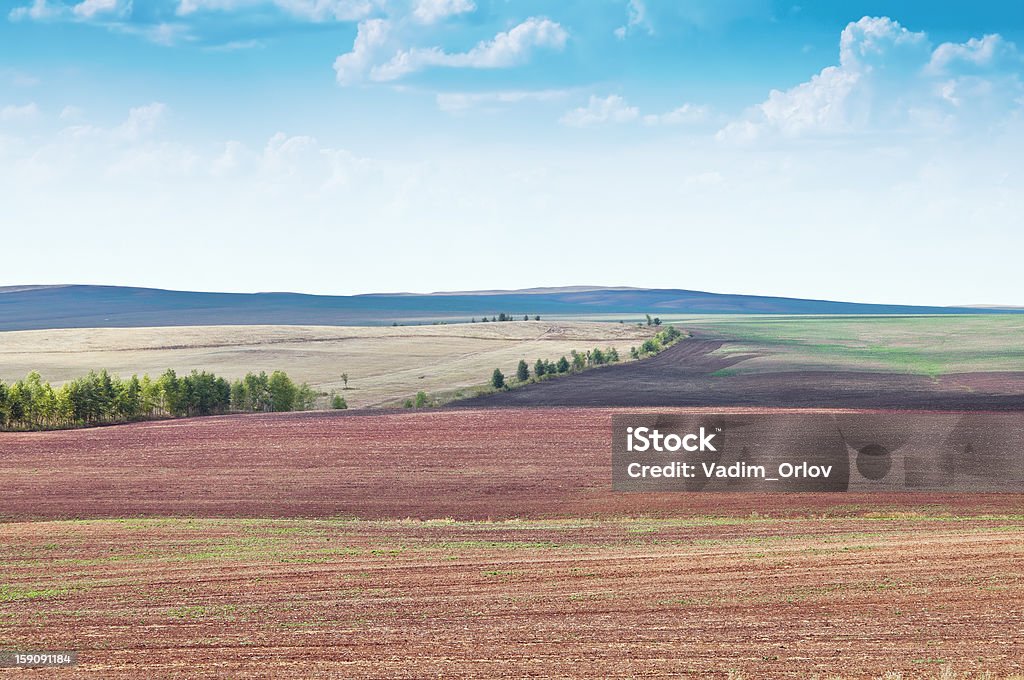 Paesaggio rurale. Campo arato - Foto stock royalty-free di Albero