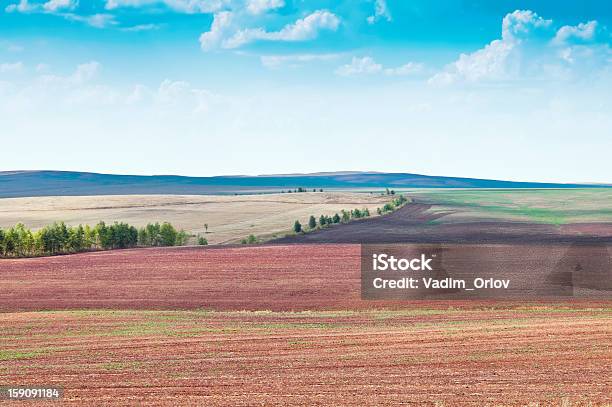 Wiejski Krajobraz Zaorane Pole - zdjęcia stockowe i więcej obrazów Bez ludzi - Bez ludzi, Cumulus, Drzewo