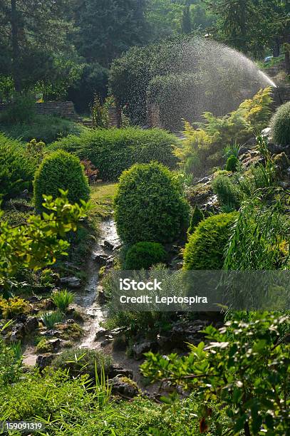 Foto de Irrigação e mais fotos de stock de Agricultura - Agricultura, Aspersor, Borrifo