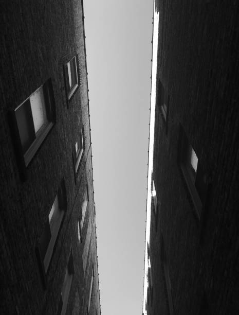 istock Black and white Chicago City Buildings 1590942834