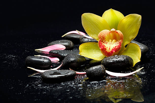 spa zen pedras - japanese culture massaging single flower nature - fotografias e filmes do acervo