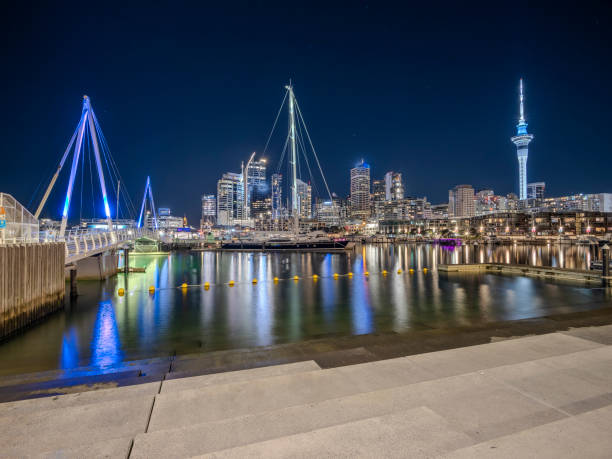 Viaduct Basin in Central Auckland at night