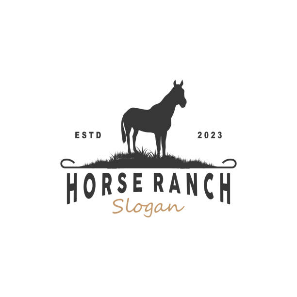 illustrations, cliparts, dessins animés et icônes de logo du cheval, conception du logo de cowboy de west country farm ranch, modèle d’illustration simple - barn farm moon old