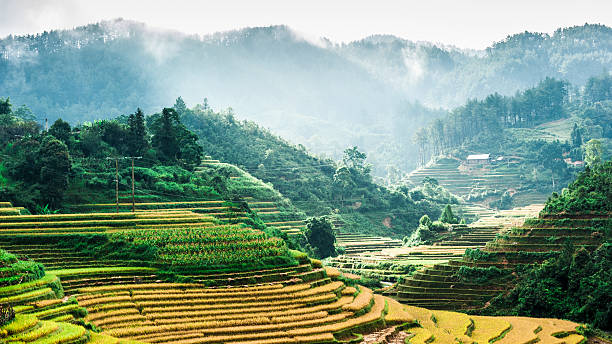 istock Hills of rice terraces with mountains and clouds at background 159100997