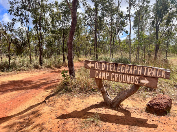 the old telegraph track in cape york peninsula queensland australia - journey camel travel desert imagens e fotografias de stock