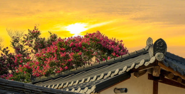 Bukchon Hanok Village, pink rose flowers and brick wall in Seoul, Korea