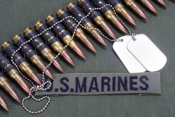 istock US MARINES uniform and branch tape with ammunition belt 1591053501