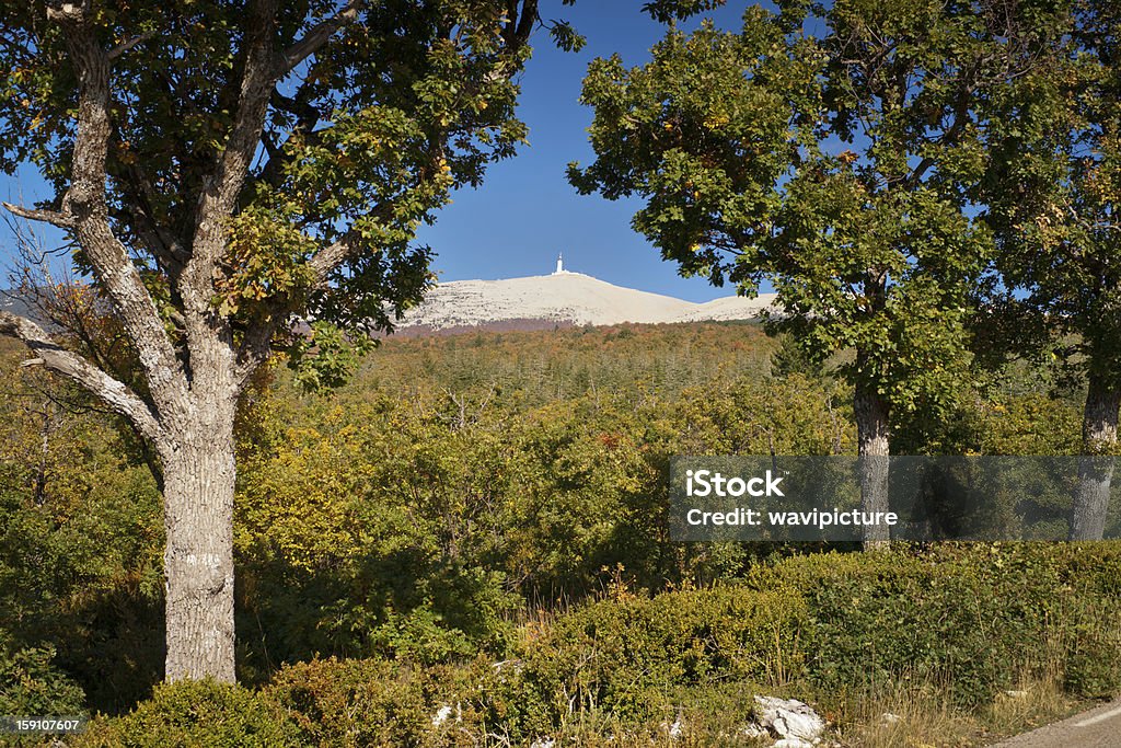 Strada a Mt. Ventoux - Foto stock royalty-free di Ambientazione esterna