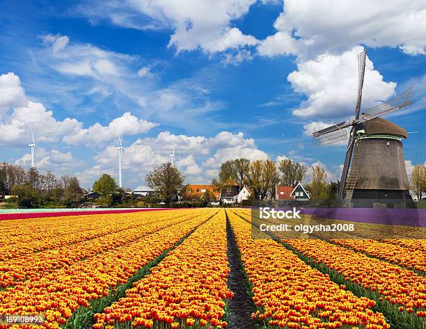 Dutch Landscape Stock Photo - Download Image Now - Abundance, Agricultural Field, Cloud - Sky