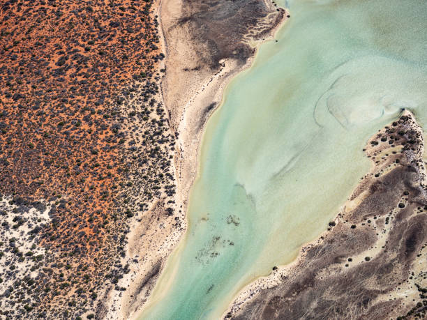 istock Aerial view of remote coastline 1591092621