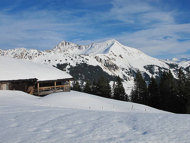 idillio alpi bernesi - bernese oberland gstaad winter snow foto e immagini stock
