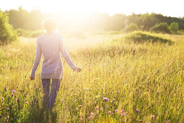 Sunny evening stock photo