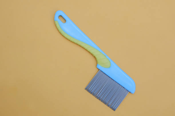 iron comb to clean head lice