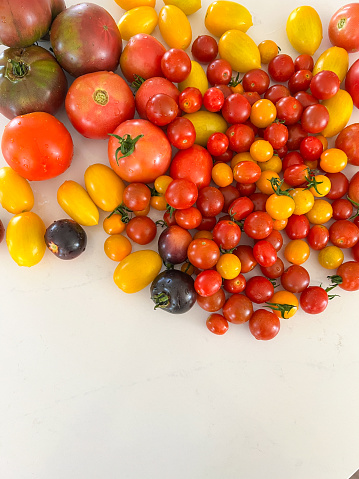 Assortment of tomatoes on a white background, different varieties of red and yellow tomatoes, close up, overhead shot top view copy space