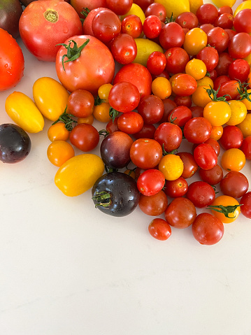 Assortment of tomatoes on a white background, different varieties of red and yellow tomatoes, close up, overhead shot top view copy space