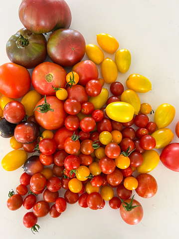 Assortment of tomatoes on a white background, different varieties of red and yellow tomatoes, close up, overhead shot, top view, copy space