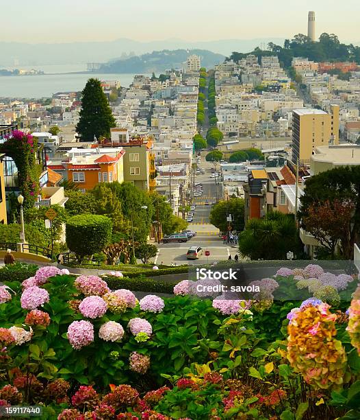 Lombard Street Stockfoto und mehr Bilder von Kalifornien - Kalifornien, Wohnhaus, Anhöhe