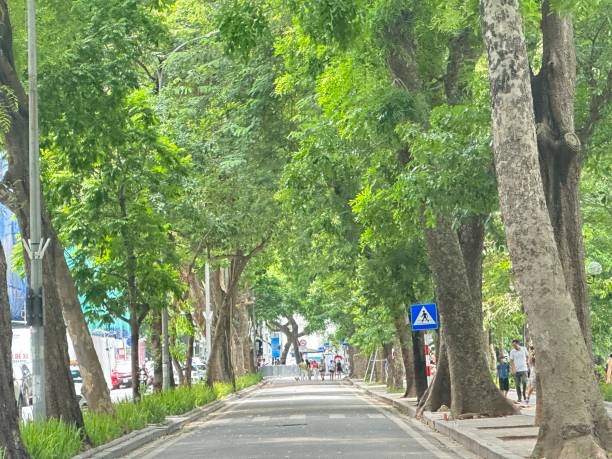 istock Park in Ha Noi 1591188120