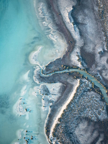 istock Aerial view of remote coastline 1591190307