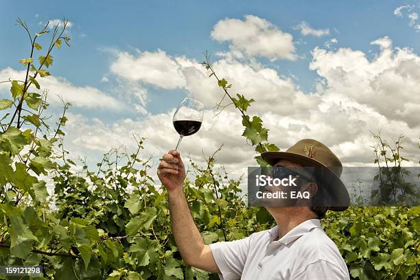 ワイン生産者 - 1人のストックフォトや画像を多数ご用意 - 1人, つる草, めがね