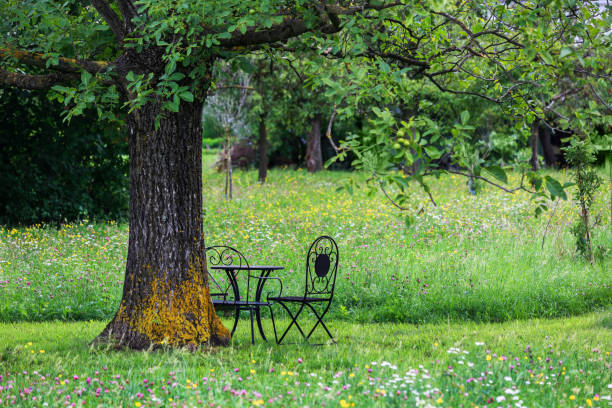 Iron chairs and table under a big tree in the lush green backyard for relaxation