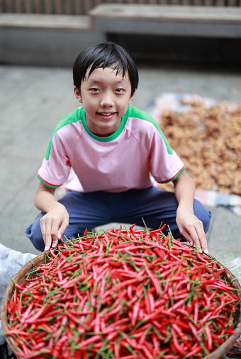 Boy showing fresh Pepper