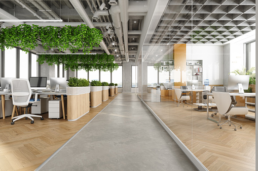 Modern Open Plan Office Space With Tables, Office Chairs, Creeper Plants And Manager Room
