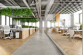 Modern Open Plan Office Space With Tables, Office Chairs, Creeper Plants And Manager Room