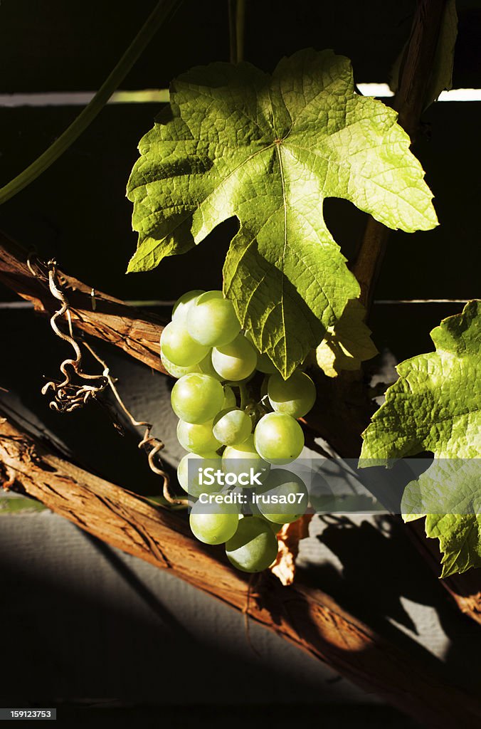Белый виноград - Стоковые фото Без людей роялти-фри