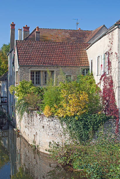istock Walnut trees,Burgundy,France 159124290