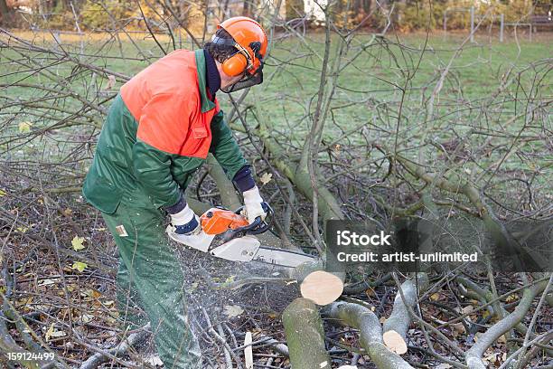 Leñador En El Trabajo Foto de stock y más banco de imágenes de Orejeras - Ropa protectora - Orejeras - Ropa protectora, Guantes de trabajo, Invierno