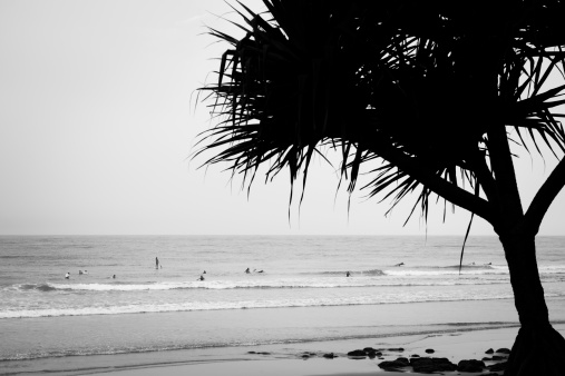 surf silhouette on beach