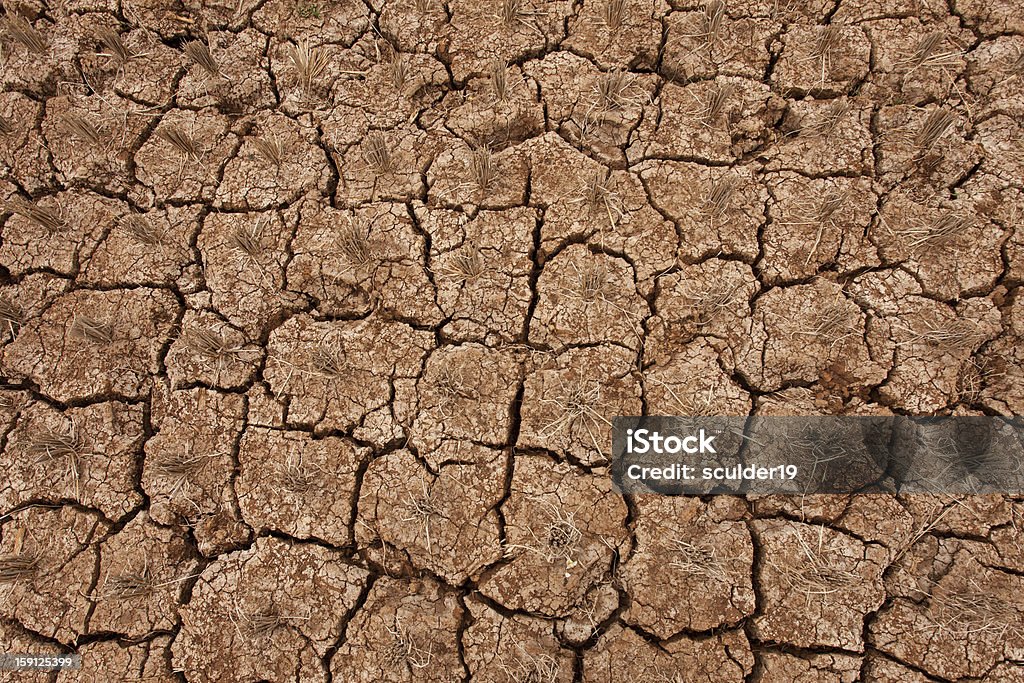 Terra seco - Foto de stock de Anti-higiênico royalty-free