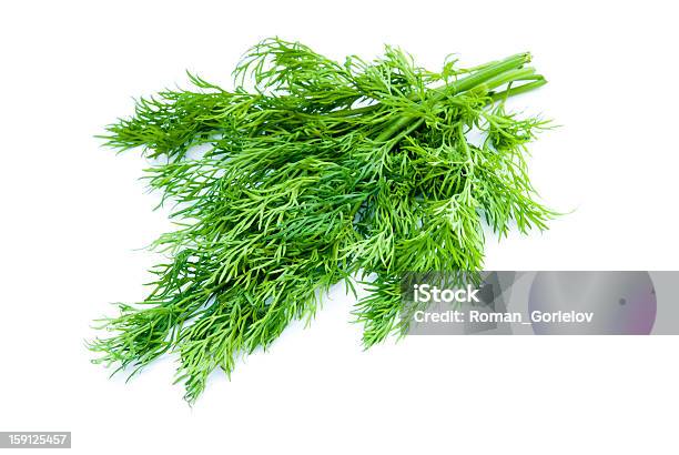Dill Stockfoto und mehr Bilder von Ast - Pflanzenbestandteil - Ast - Pflanzenbestandteil, Blatt - Pflanzenbestandteile, Bund