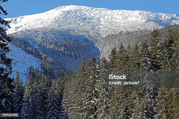 Photo libre de droit de Forêt Dhiver banque d'images et plus d'images libres de droit de Arbre - Arbre, Basses Tatras, Beauté de la nature