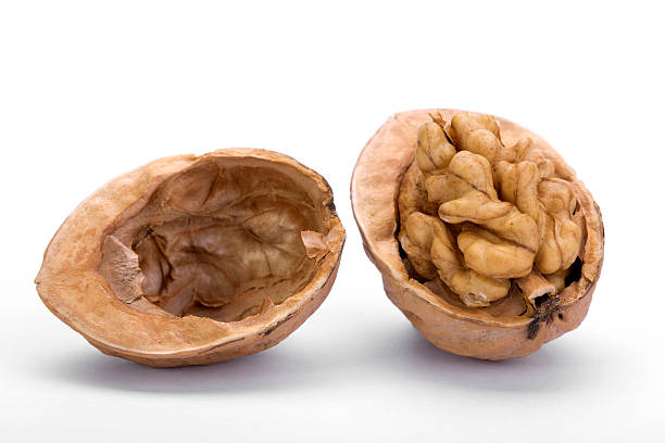 Close-up of walnut