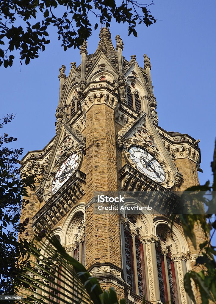 Torre do relógio da Universidade de Mumbai, Índia - Foto de stock de Arquitetura royalty-free