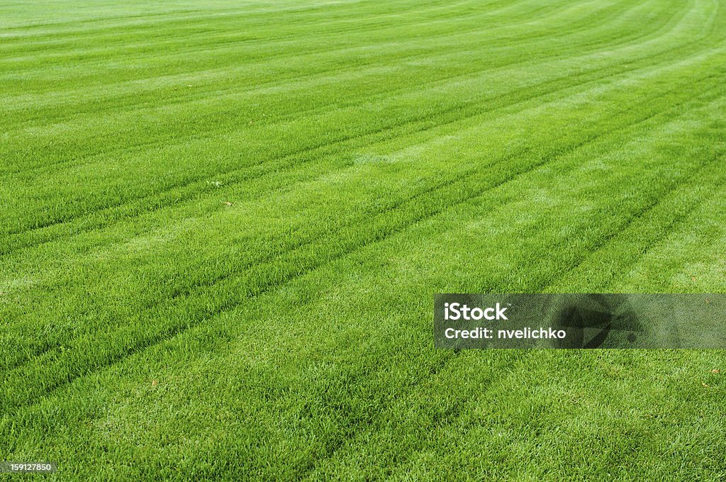 Зеленая трава текстура - Стоковые фото Абстрактный роялти-фри