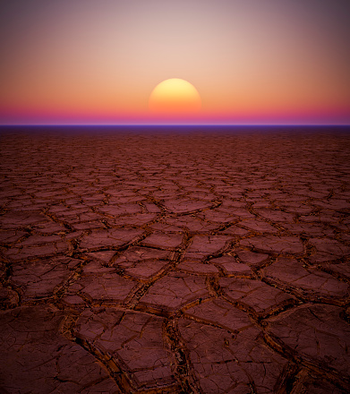 The surface of the dried cracked earth close-up.