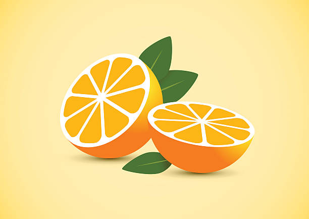 oranges vector art illustration