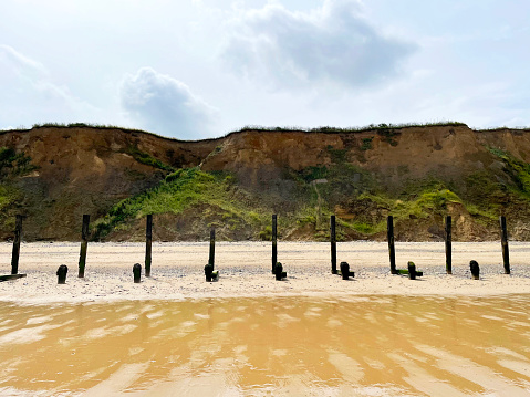 Wooden poles on a beach in Norfolk