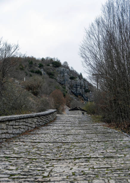 The bridge was created in the area around the confluence of river Ribnica to river Morača, during the reign of the Romans in this area