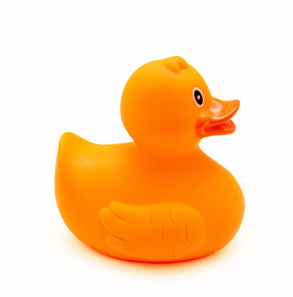 istock Rubber duck orange color isolated on white, side view 1591332485