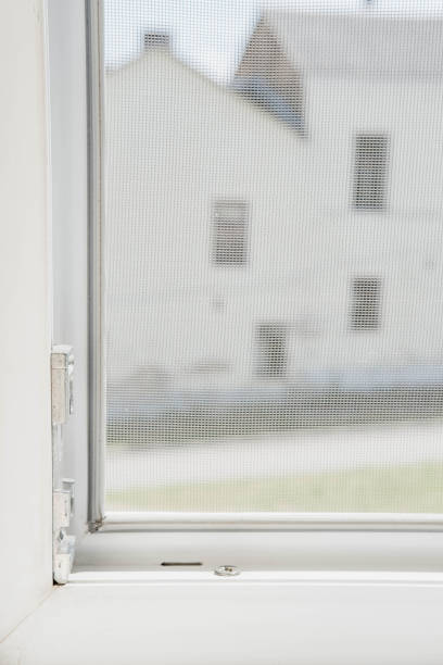istock Close up on mosquito wire screen installation on window to protect from insects. 1591343648