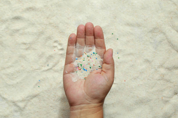 istock Close-up Microplastic found on beaches lay on people's hands. Microplastics are contaminated in the sea. Concept of water pollution and global warming.Climate change idea.Microplastic problem. 1591354444