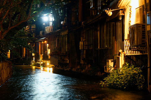In Kyoto, one of the famous downtown areas is called Pontocho, but nearby, this small stream quietly flows and eventually joins the Kamo River. You can catch a glimpse of Kyoto's unique charm, which balances tranquility and liveliness.