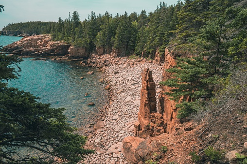 A scenic view of the beach covered with green pine trees in Acadia National Park, Maine
