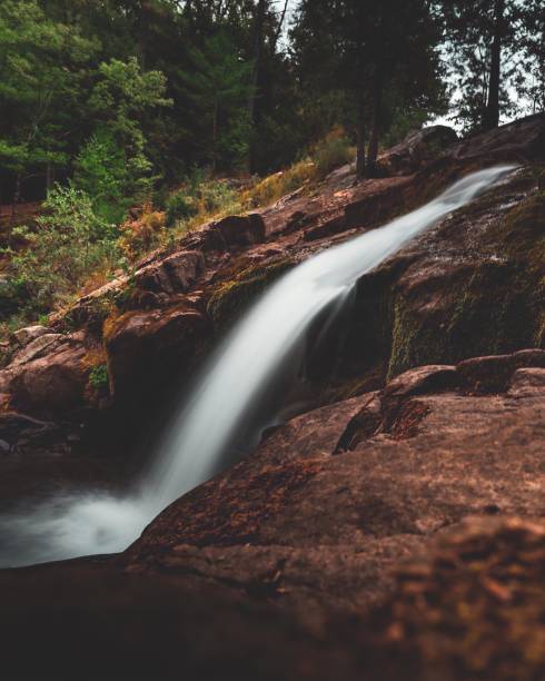 A scenic view of a waterfall cascading through a lush, green forest