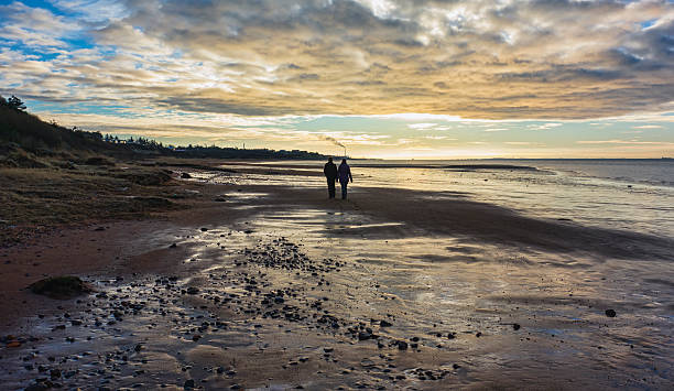 istock Wadden sea near Esbjerg, Denmark 159141921